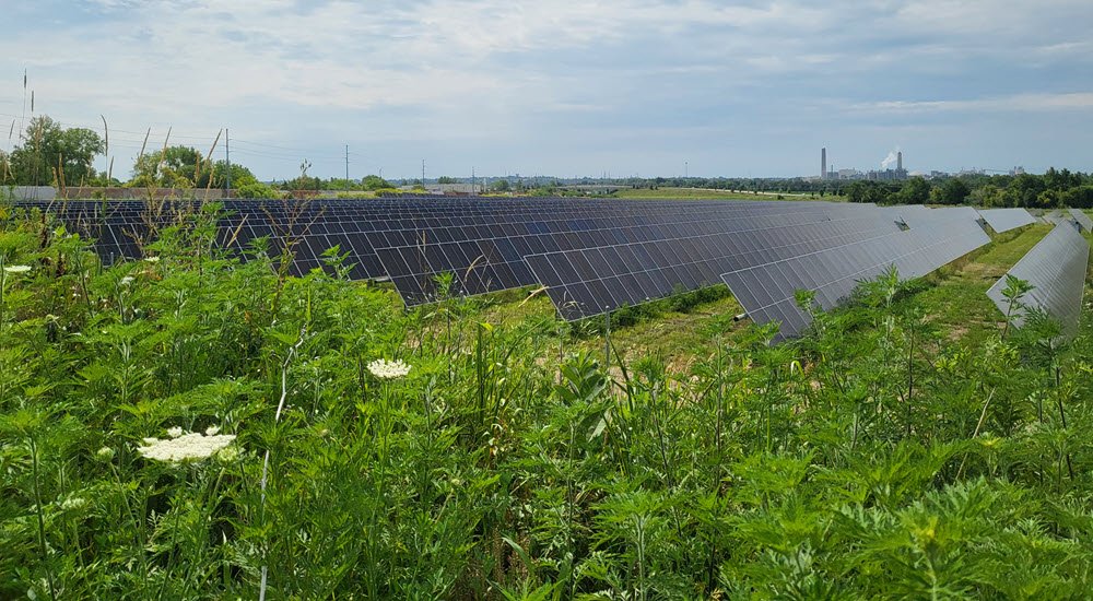 solar panels in a field