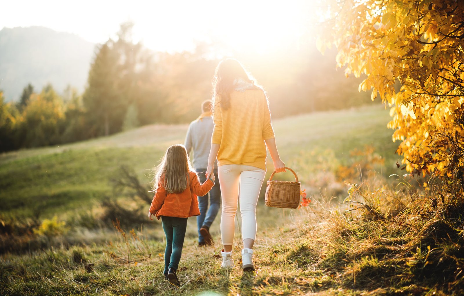 family walking with a picnic basket