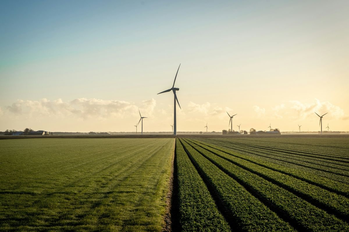 Wind turbines on a lush farm plot. 