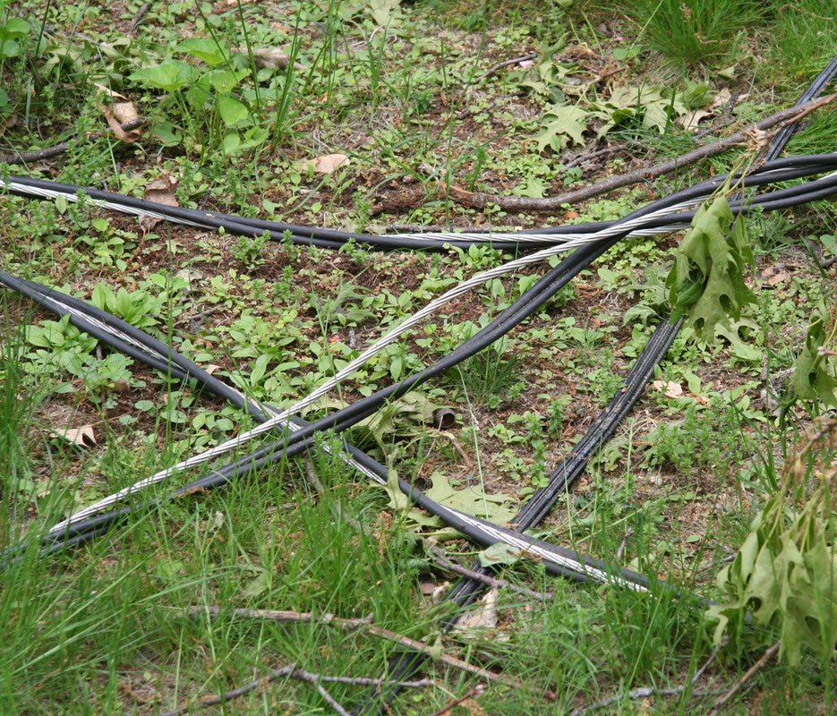 downed lines