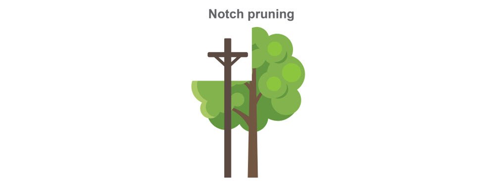 Notch pruning illustration