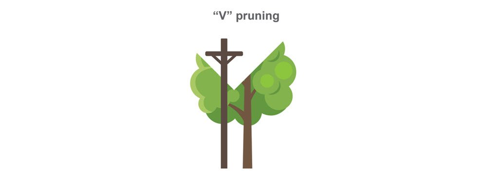 V pruning illustration