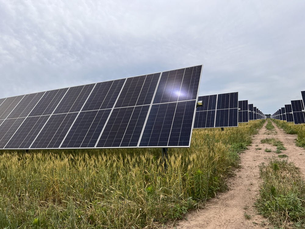 rows of solar panels at North Rock Solar