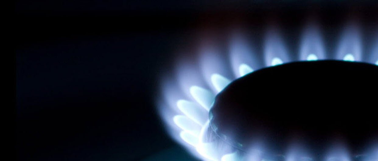 Gas Stove 
