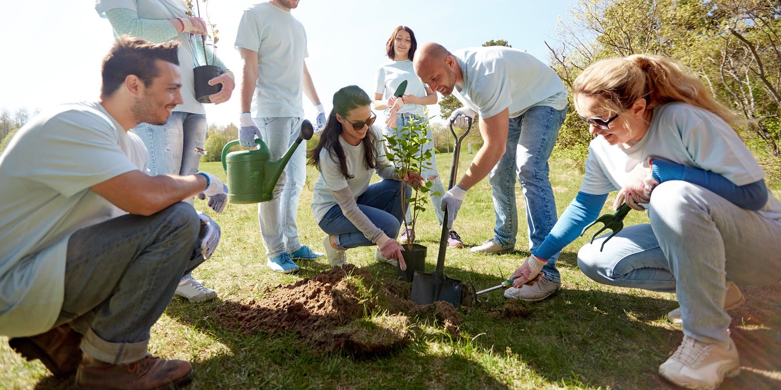 group of people planting a tree