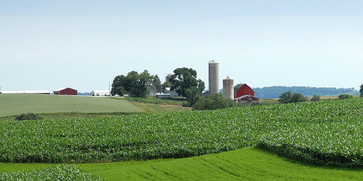 a farm on a sunny day